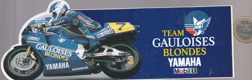 L13 moto gp - moto, team