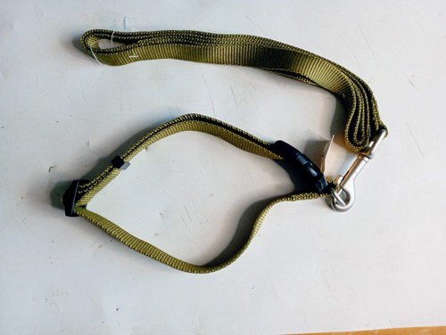 Laisse collier nylon kaki - laisse,