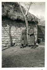 Photo, WW2. PzJg.-Rgt. St.Pölten : les Uffze s'appuient sur un arbre en Russi...