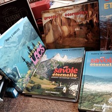 lot 5 livres Valéry d'Amboise