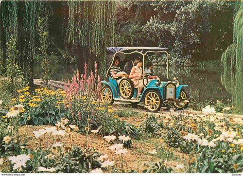 Carte postale parc - carte,
