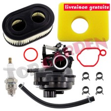 799584 Carburateur pour Briggs
