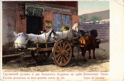 Russia georgian tavern and - russia,