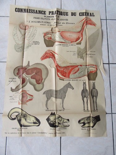 Grande affiche originale 1895 - grande,