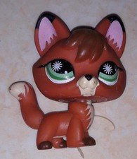 Petshop renard 807