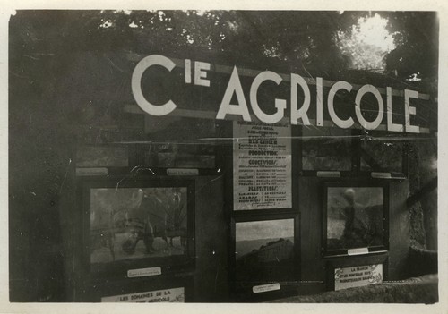 Old photo vintage - old,