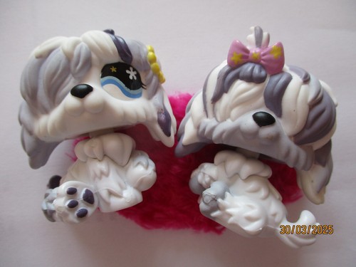 Petshop duo chiens - duo, bobtail