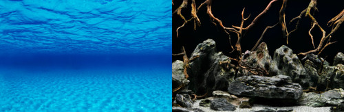 Poster fond aquarium - poster,