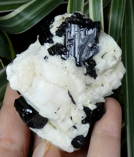 Tourmaline noire sur - noire,