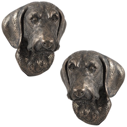 Teckel poil dur statuette - -,