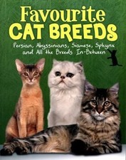 Races De Chats Préférées 