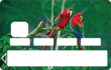 Stickers autocollant Carte bleue - Carte bancaire - CB