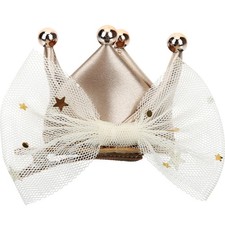 Barrette Cheveux Pince