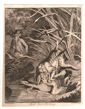 Gravure XIXe - La chasse au