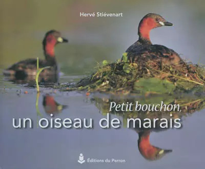 Petit bouchon oiseau - oiseau, de