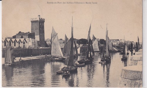 Postcard carte postale - 🦬postcard/carte,