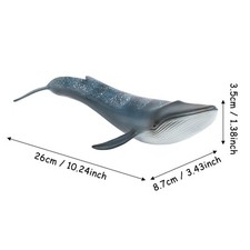 (Baleine Bleue) Simulation De