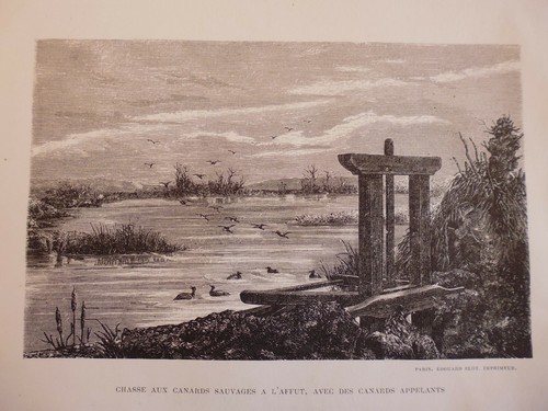 Gravure chasse aux - *gravure,