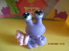 Petshop Bernard L'hermite #