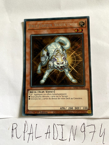 Carte ryko le - ,