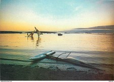 Sport - Planche à Voile - CPM