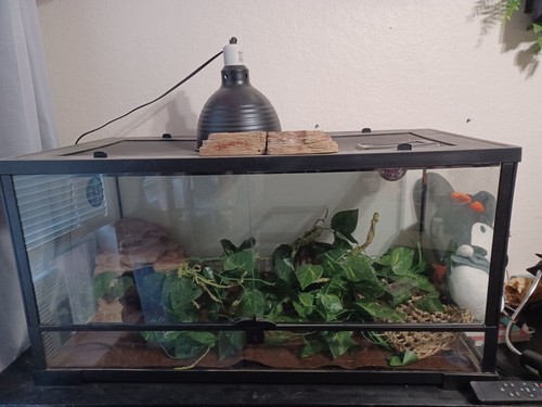 Exo terra pt2611 - large, glass
