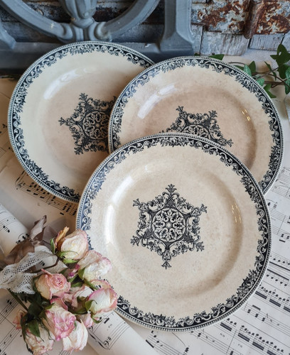 Anciennes assiettes plates - 3,