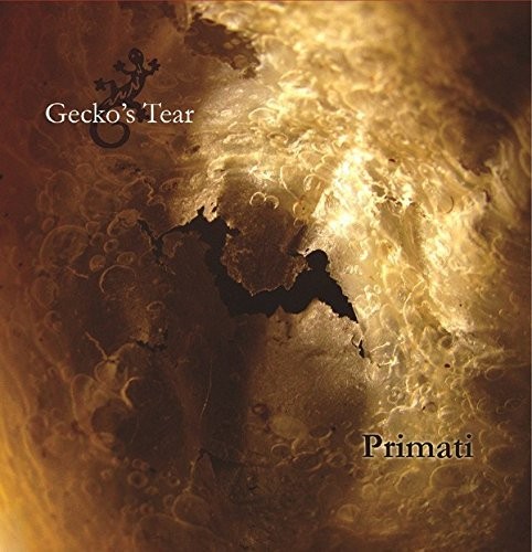 Gecko tear primati neuf - tear,
