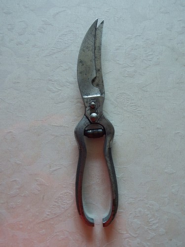 Ancien sécateur professionnel - ancien,