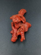 Banche polie corail mer