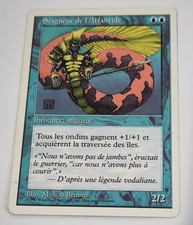 Carte magic seigneur de