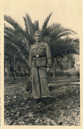 Photo wk2 aviateur luftwaffe - photo,