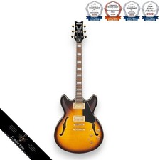 Ibanez JSM10EMTTB guitare