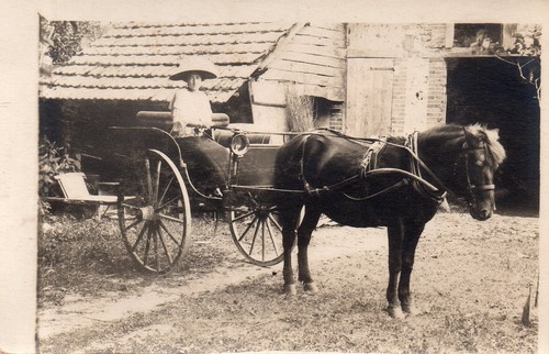 Bl703 carte photo vintage card - bl703,