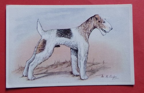 Th232 cpsm chien - chien, fox