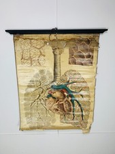 Affiche planche pédagogique