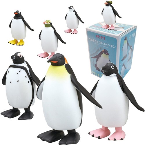 Kitan club marche pingouin - kitan,