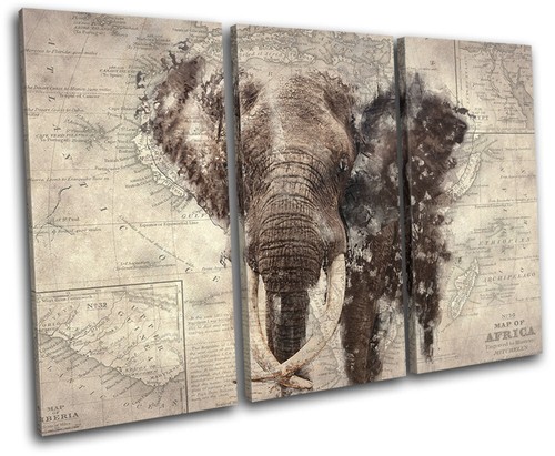 Africa elephant map retro - africa,