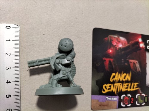 Canon sentinelle - canon,