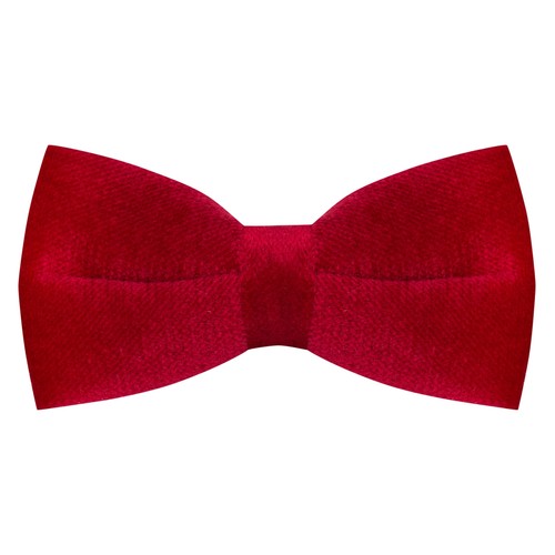 Noeud papillon velours - noeud,