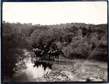 Nature, forêt, gué des