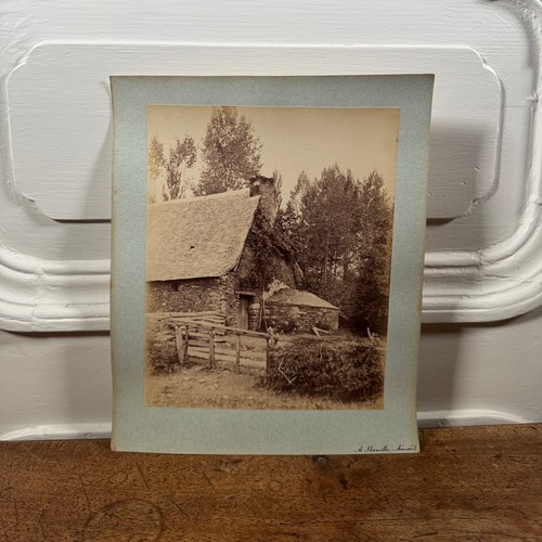 Photo albumine contrecollée