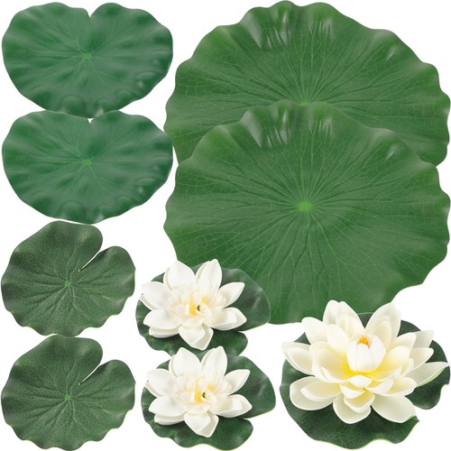 Plantes aquatiques fleurs - plantes,