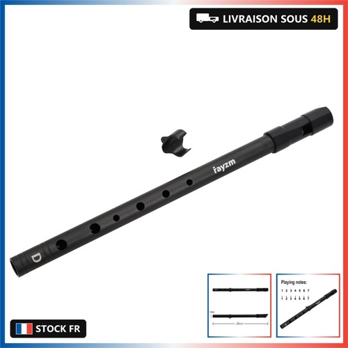 Rayzm tin penny whistle - tin, whistle,d