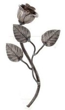 Rose avec feuilles fleur