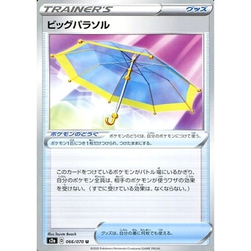 Carte pokemon japonaise big - pokemon,