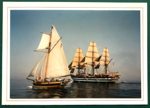 Carte postale renard - postale, «