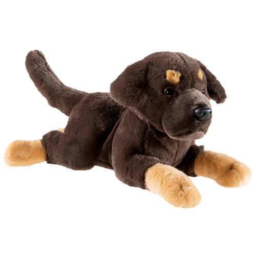 Heunec puppy labrador couché - heunec,