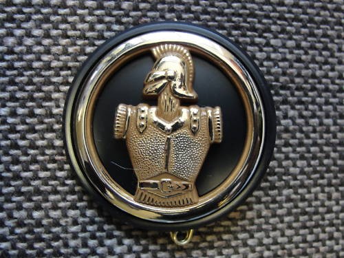 Insigne béret génie - de, du