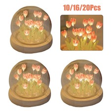 Tulipe veilleuse lumière de